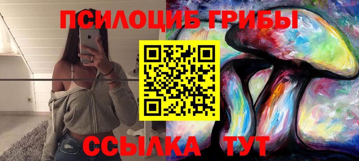 Галлюциногенные грибы прущие грибы  закладка  Вход с VPN  Магадан  Псилоцибиновые грибы GOLDEN TEACHER 